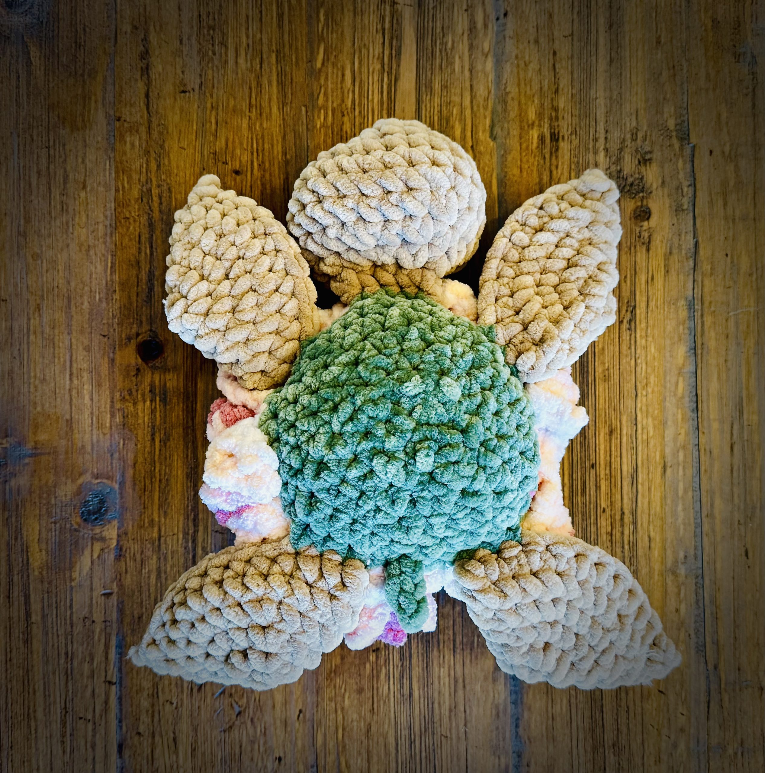 Rosey the Turtle - Image 4