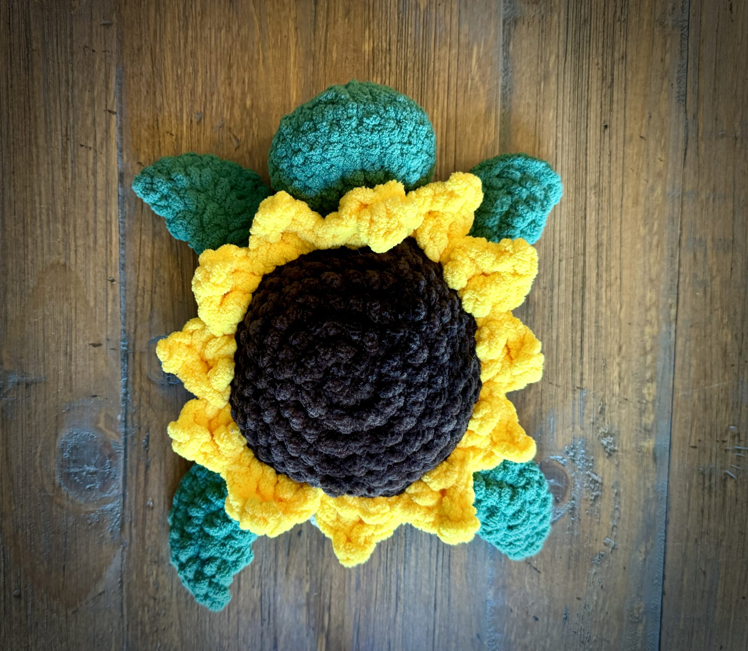 Sunny the Turtle - Image 2