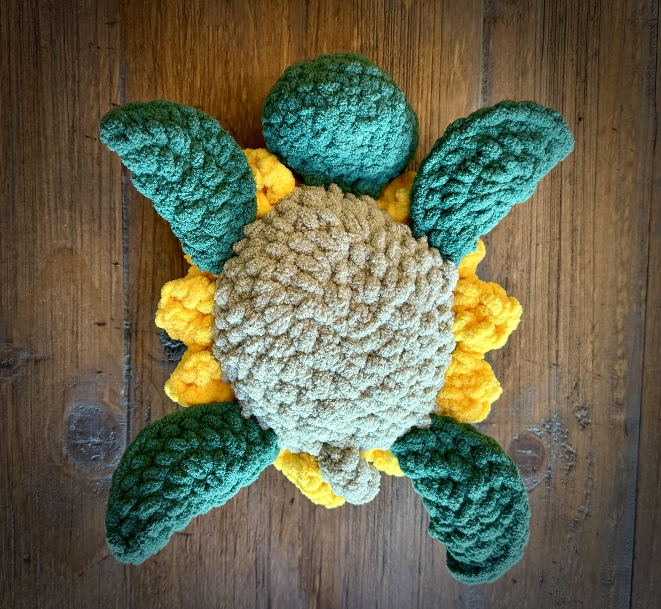 Sunny the Turtle - Image 6