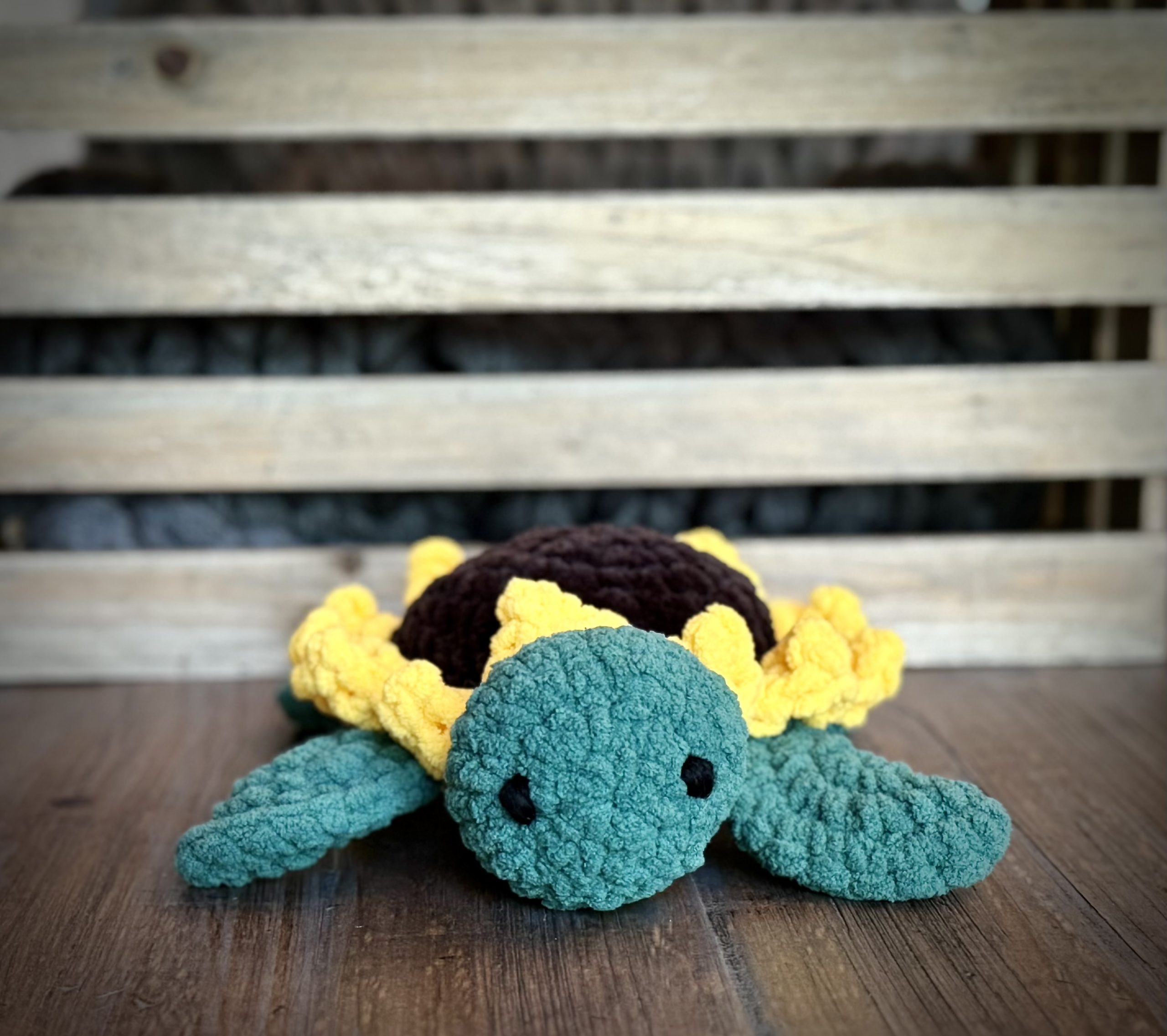 Sunny the Turtle