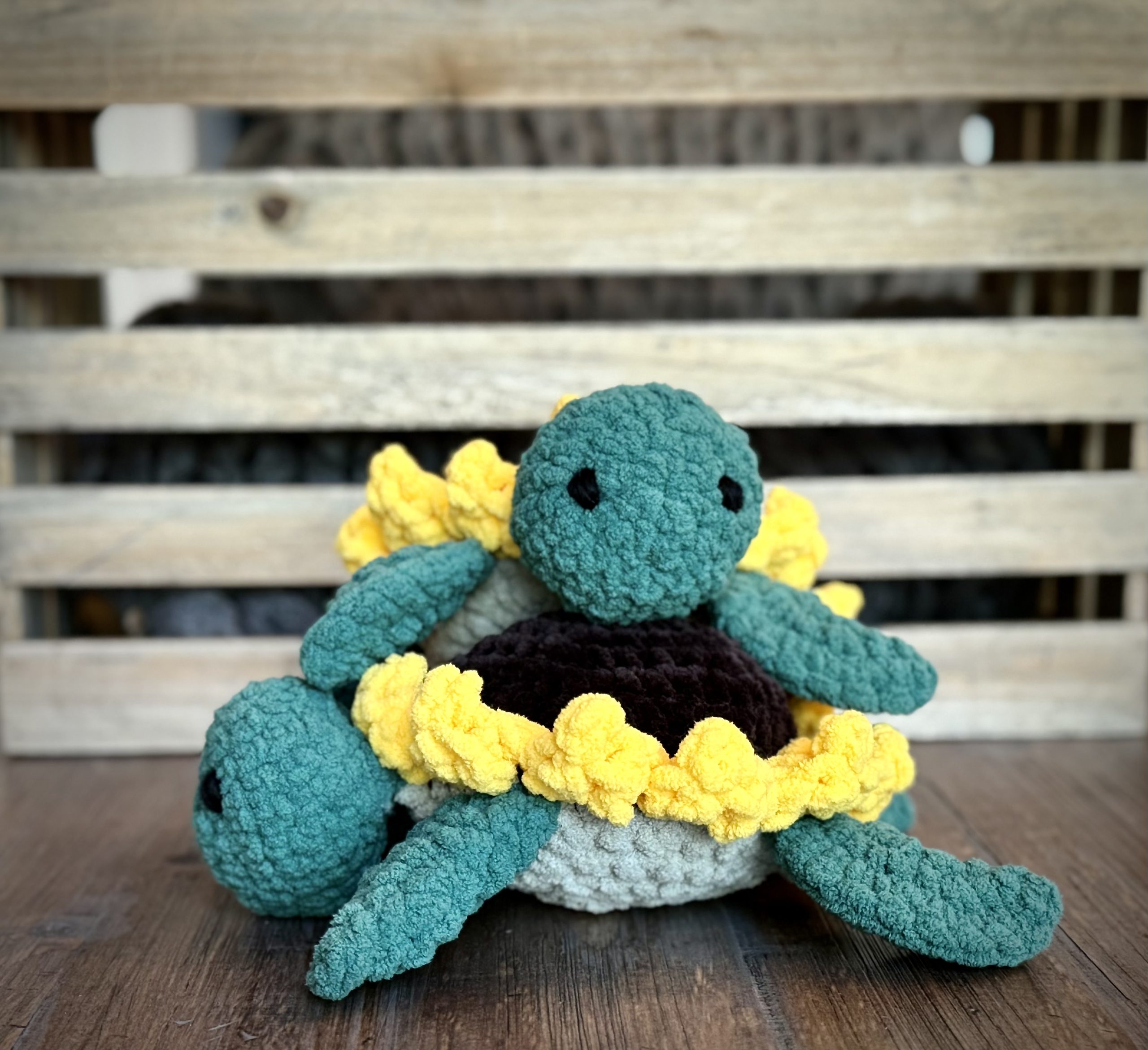 Sunny the Turtle - Image 3